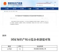 公司獲國家知識產(chǎn)權(quán)強國建設(shè)示范企業(yè)創(chuàng)建對象